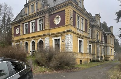 Château à vendre Olszyna Dolna, Pałac Olszyna, Basse-Silésie, Image 2/7