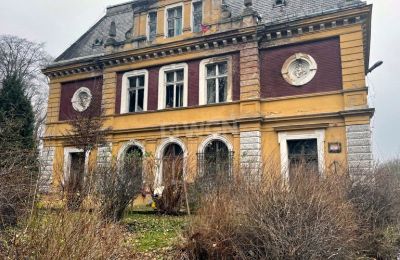 Château à vendre Olszyna Dolna, Pałac Olszyna, Basse-Silésie, Image 4/7