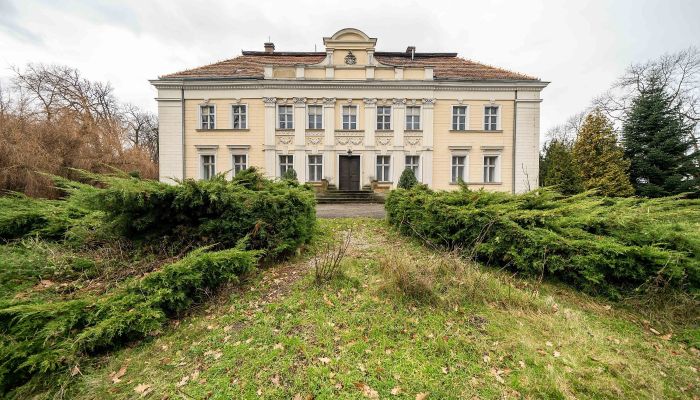 Château à vendre Gola, Grande-Pologne,  Pologne