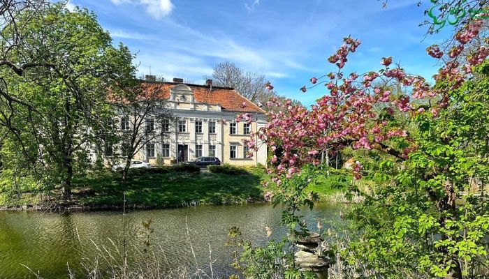 Château à vendre Gola, Grande-Pologne,  Pologne