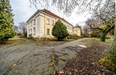 Château à vendre Gola, Grande-Pologne, Image 41/45