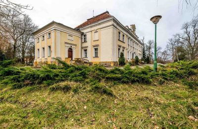 Château à vendre Gola, Grande-Pologne, Image 37/45