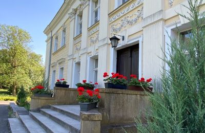 Château à vendre Gola, Grande-Pologne, Image 28/28