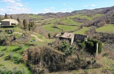 Château médiéval à vendre 06026 Pietralunga, Ombrie, Image 7/11