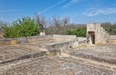 Manoir à vendre Oria, Pouilles, Toit