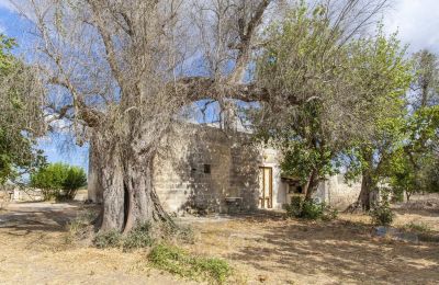 Manoir à vendre Oria, Pouilles, Image 27/28