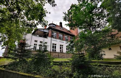 Villa historique à vendre Karlovy Vary, Karlovarský kraj, Image 3/10