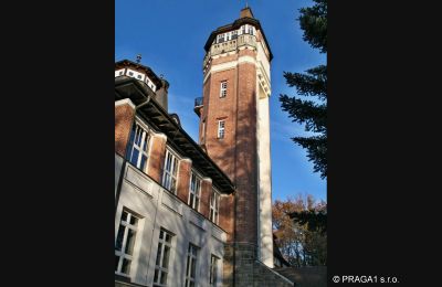 Villa historique à vendre Karlovy Vary, Karlovarský kraj, Image 4/10