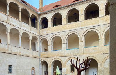 Château à vendre Štětí, Ústecký kraj, Cour intérieure