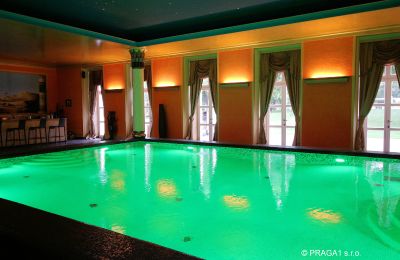 Château à vendre Hlavní město Praha, Piscine