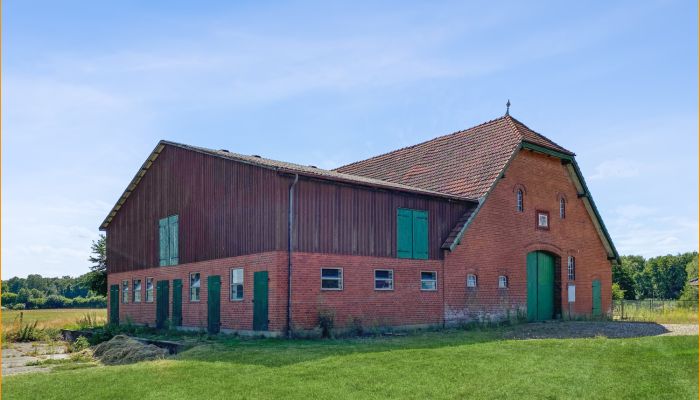 Ferme Elmenhorst 3