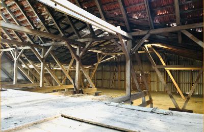 Ferme à vendre 21493 Elmenhorst, Schleswig-Holstein, Heuboden