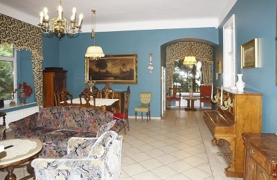 Manoir à vendre Borowina, Voïvodie de Lublin, Image 7/20