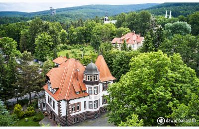 Villa historique à vendre Świeradów-Zdrój, Piastowaska 9, Basse-Silésie, Image 3/16