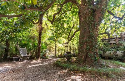 Villa historique à vendre Verbano-Cusio-Ossola, Pallanza, Piémont, Jardin