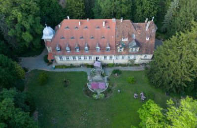 Château à vendre Bade-Wurtemberg, Vogelperspektive