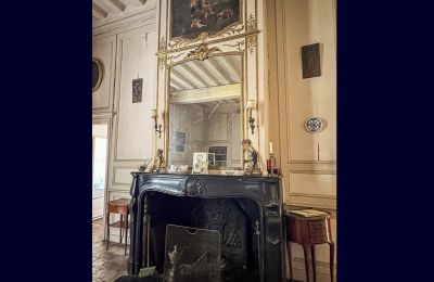 Château à vendre Le Mans, Pays de la Loire, Cheminée