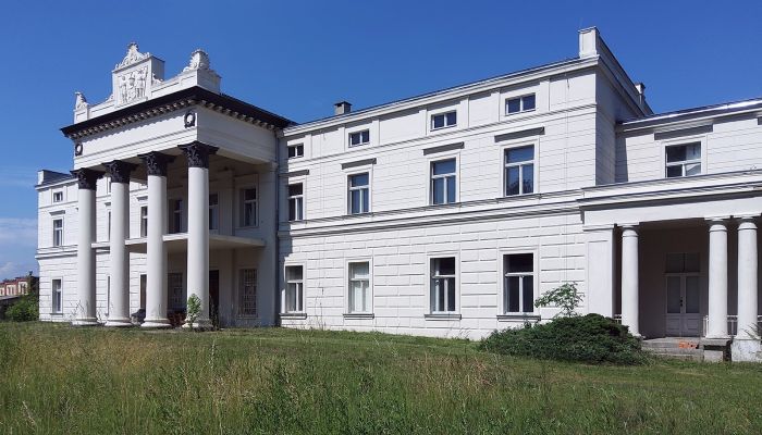 Château à vendre Głuchowo, Grande-Pologne,  Pologne