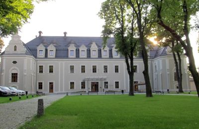 Château à vendre Lubliniec, Silésie, Image 1/10