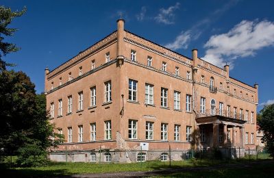 Château à vendre powiat gorzowski, gmina Witnica, Dąbroszyn, Pałac w Dąbroszynie, Lubusz, Vue latérale