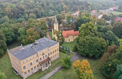 Château à vendre powiat gorzowski, gmina Witnica, Dąbroszyn, Pałac w Dąbroszynie, Lubusz, © Stowarzyszenie Templum