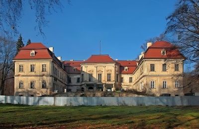 Château à vendre Grodziec, Basse-Silésie, Vue de l'arrière