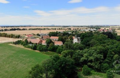 Château à vendre Budziwojów, Pałac w Budziwojowie, Basse-Silésie, Image 6/17