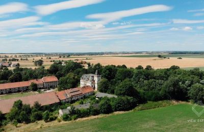 Château à vendre Budziwojów, Pałac w Budziwojowie, Basse-Silésie, Image 4/17