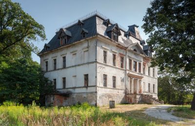 Château à vendre Budziwojów, Pałac w Budziwojowie, Basse-Silésie, Image 16/17