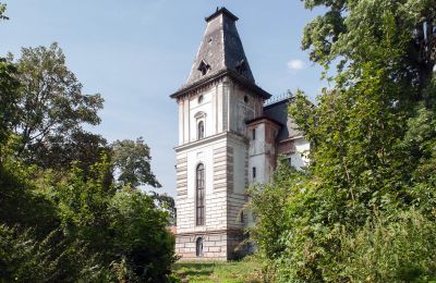 Château à vendre Budziwojów, Pałac w Budziwojowie, Basse-Silésie, Image 17/17