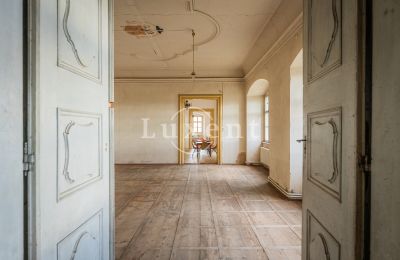 Château à vendre Žitenice, Zámek Žitenice, Ústecký kraj, Salle de bal