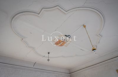 Château à vendre Žitenice, Zámek Žitenice, Ústecký kraj, Décoration en stuc