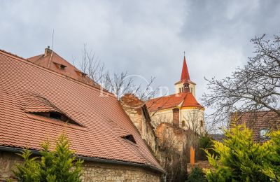 Château à vendre Žitenice, Zámek Žitenice, Ústecký kraj, Image 17/31