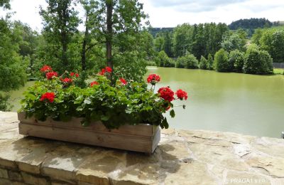 Château à vendre Rychnov nad Kněžnou, Královéhradecký kraj, Lac/étang