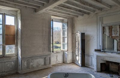 Château à vendre Saintes, Nouvelle-Aquitaine, Vue intérieure 1