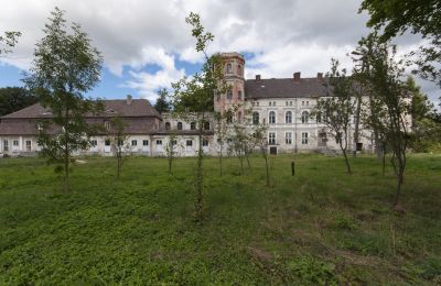 Château à vendre Cecenowo, Pałac w Cecenowie, Poméranie, 2016