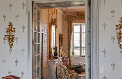 Château à vendre Saint-Bertrand-de-Comminges, Occitanie, Image 5/10