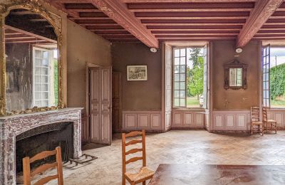 Château à vendre Loudun, Nouvelle-Aquitaine, Vue intérieure 1