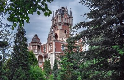 Portrait immobilier : Château "Schloss Boberstein" / Zamek Bobrów, Image 1