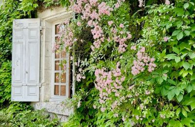 Château à vendre Centre-Val de Loire, Image 11/12