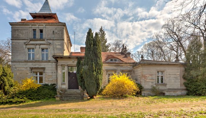 Château à vendre Żegrowo, Grande-Pologne,  Pologne