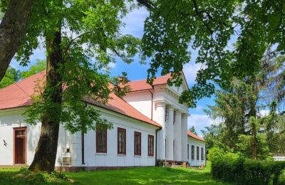 Manoir à vendre Rożnów, Dwór w Rożnowie, Petite-Pologne, Vue latérale