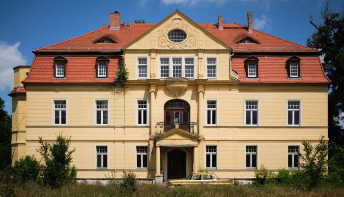 Manoir à vendre Salzlandkreis, Bernburg, Preußlitz,  Allemagne