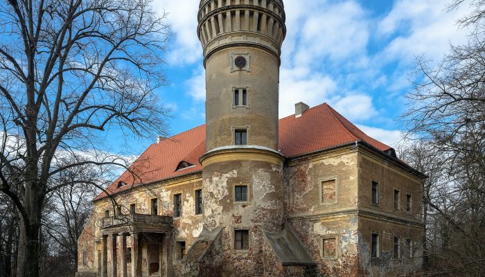 Château à vendre Osetno, Basse-Silésie,  Pologne