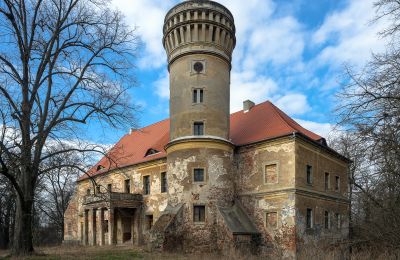 Château à vendre Osetno, Pałac w Osetnie, Basse-Silésie, Vue extérieure