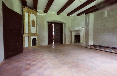 Manoir à vendre Rogoźno, Dwór w Studzieńcu 28, Grande-Pologne, Image 11/16