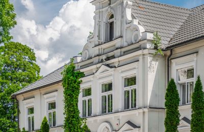 Manoir à vendre Pstrokonie, Łódź, Image 4/50