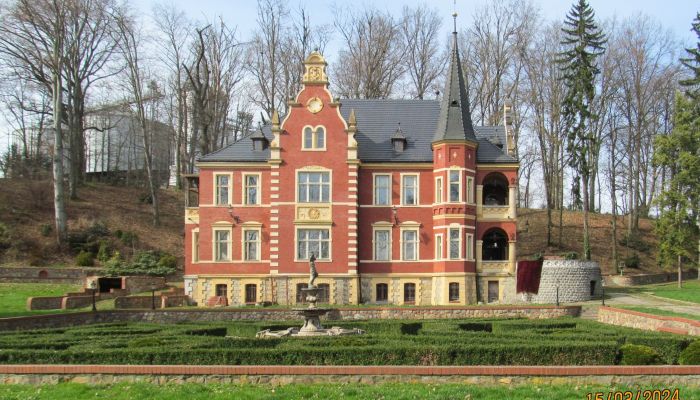 Château Ziębice 2