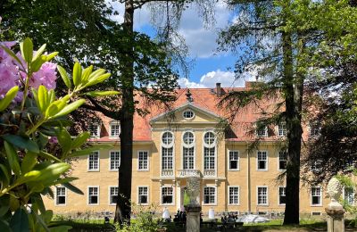 Château à vendre Saxe, Vue de l'arrière