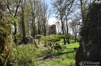 Château médiéval à vendre Le Caylar, Occitanie, Image 12/13